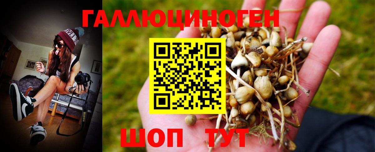 Псилоцибиновые грибы Psilocybe Лянтор