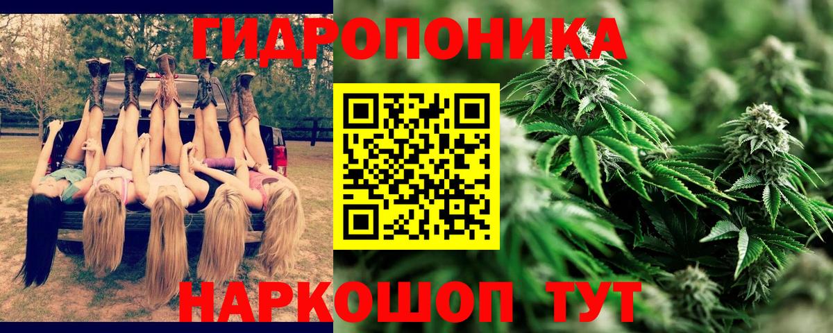Марихуана план Лянтор